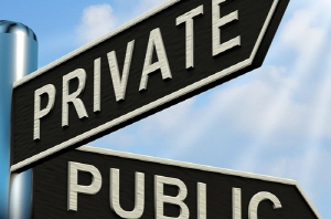 private-or-public-company